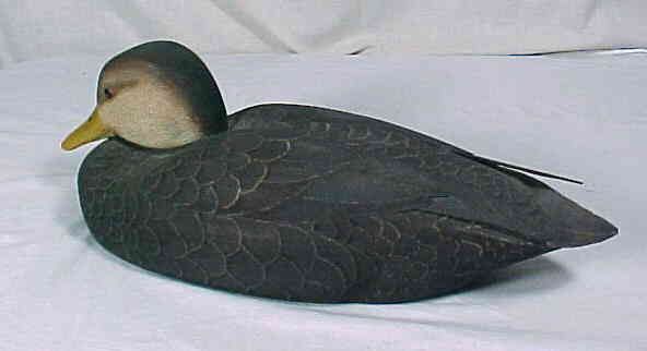 JOHN POTTS BLACK DUCK DECOY PHILLIPSBURG NJ 1985  