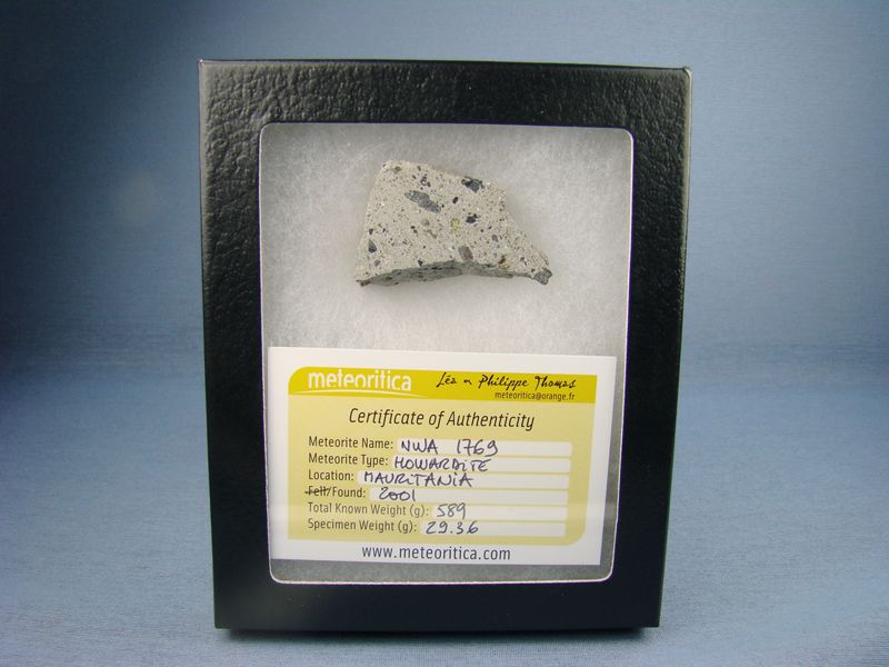 NWA 1769 Meteorite   Howardite   Fragment 29.36 g LAST  