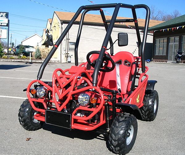 Brand New 110cc 2 Seater Go Kart Dune Buggy Semi Automatic with 