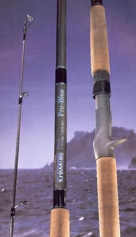 LOOMIS Pro Blue Saltwater Rod PBR902S FREE SHIP+HAT  