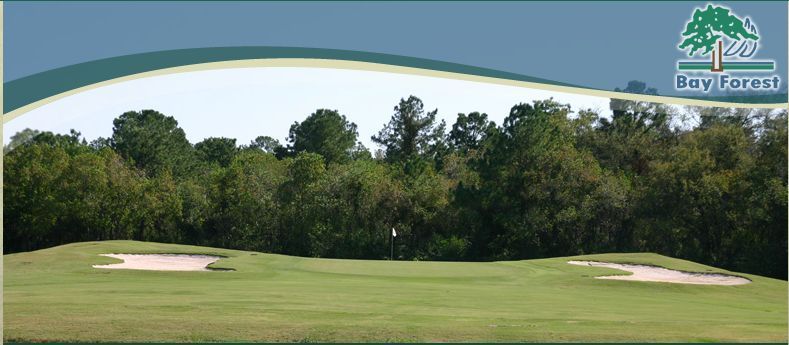 Tee Time Twosome at Bay Forest Golf Course, Texas  