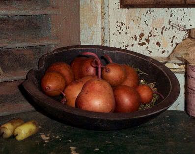 PRIMITIVE~DRIED BRICK APPLE COLORED PEAR GOURDS~ SET/6  