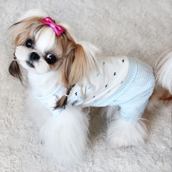 JUMPSUIT PASTEL dog clothes pet apparel pup PUPPY ZZANG  