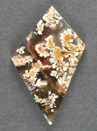 Rare Dramatic Owls Hole Plume Agate Designer Cabochon  