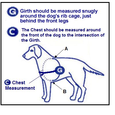 girth and chest using a flexible tape measure or leash