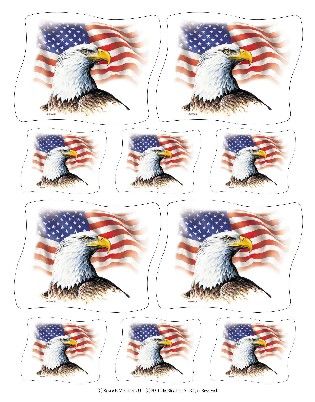 IdeaStix AMERICAN FLAG and BALD EAGLE Mural Stick Ons  