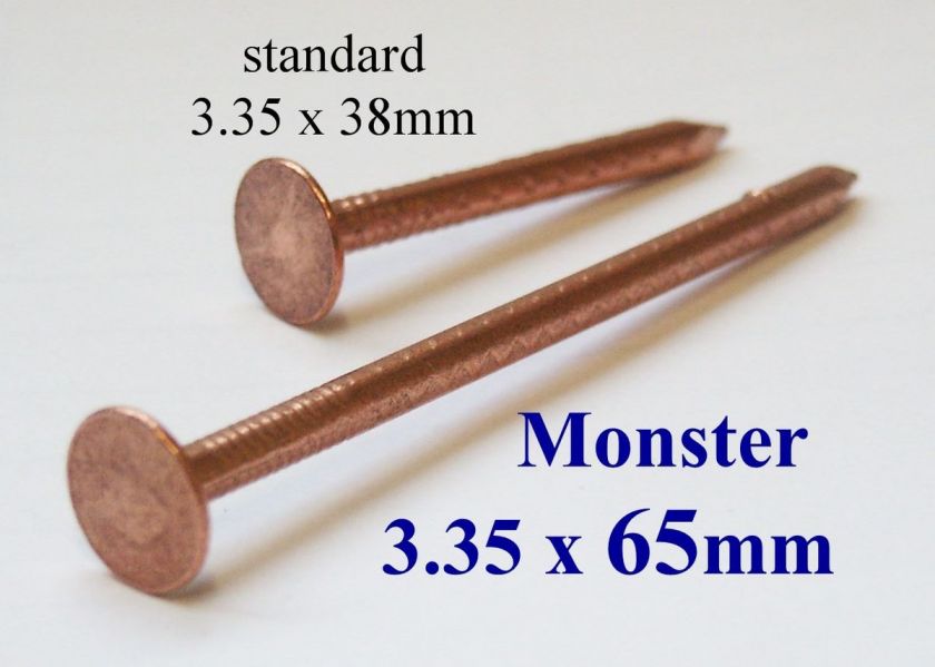 30x SOLID COPPER Tree Stump Killer V.LARGE x 65mm  