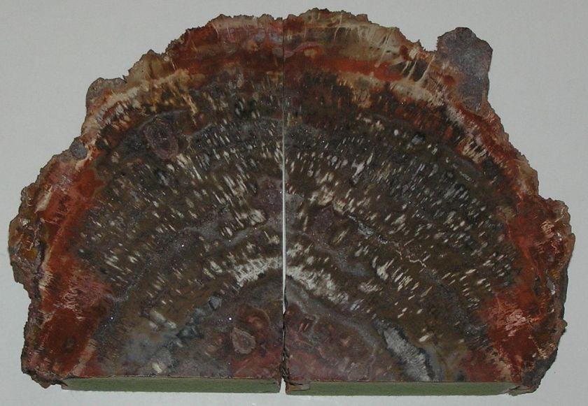 Petrified Wood   Matching Bookends  