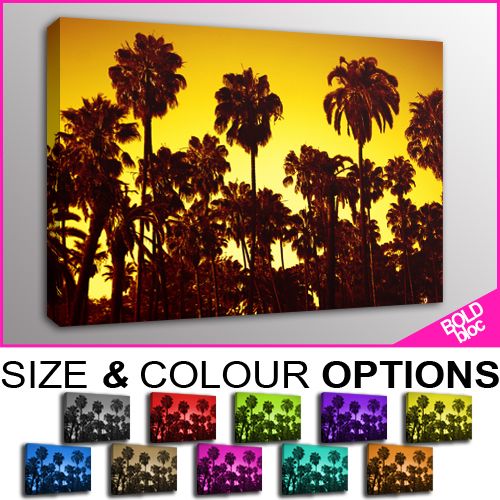 PREMIUM NEW   Sunset Palm Trees   10 COLOURS / SIZES  