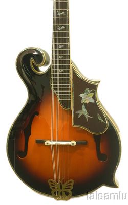 Inlaid hummingbirds MOP F5 Mandolin,Solid Maple Spruce F5 484  