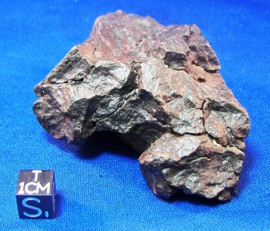 Collection Meteorite Best 213 Gr Stone DHOFAR 020 H4 5  