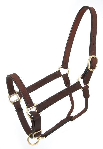 Pony, Standard Donkey~Adjustable Leather Stable Halter  