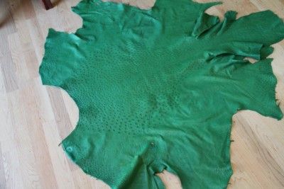 Genuine Exotic Ostrich Skin Kentucky Green 15 SQFT 1.4 mm  