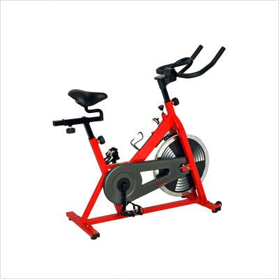 Sunny Health & Fitness 43 Indoor Cycling Bike SF B1001 815749010001 