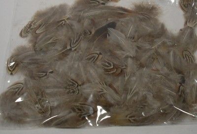 Lot Fishing Fly Tying Gray Brown Black Feathers Crafts  