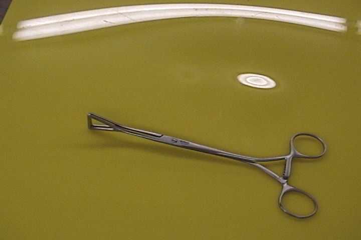 32348   Walter Lorenz 32 3443 DUVAL COLLIN FORCEPS,28MM WIDE,20CM,8 