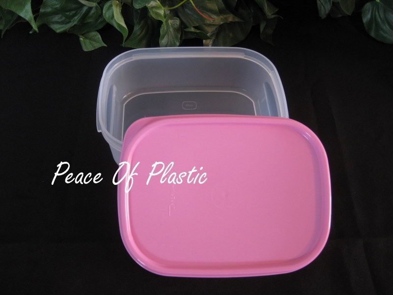   MATE MATES PINK Mini RECTANGULAR 1 (New) Storage Container  